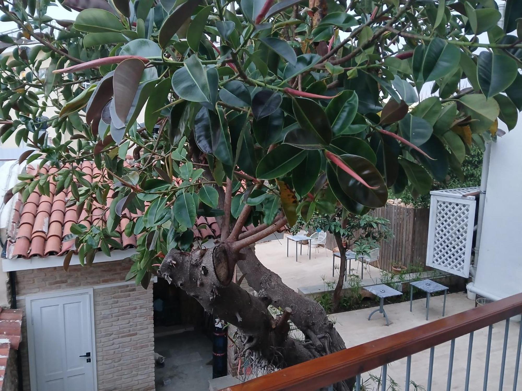House of Good Things Zeytin Çıkmazı Hotel Antália Exterior foto